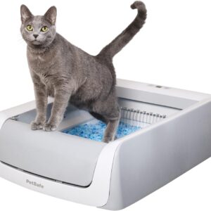 Arenero autolimpiable para gatos - Arenero autolimpiable para gatos PetSafe ScoopFree con bandejas desechables