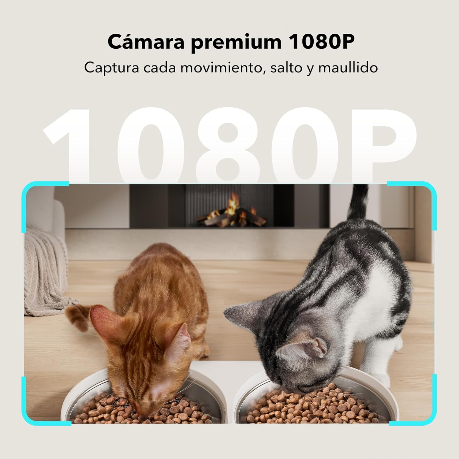 Comedero automático para gatos PETLIBRO con cámara 1080P y control por app - vista 3