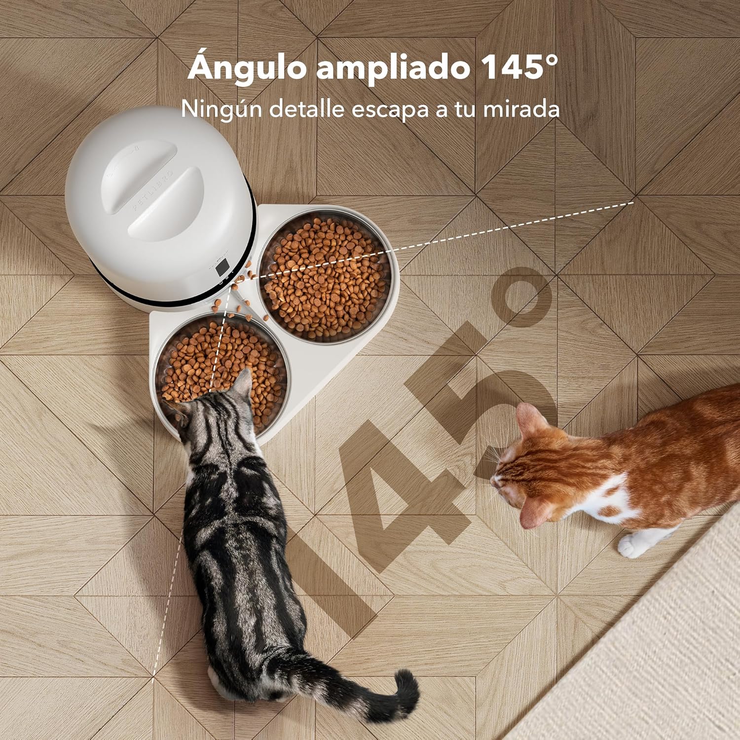 Comedero automático para gatos PETLIBRO con cámara 1080P y control por app - característica 4