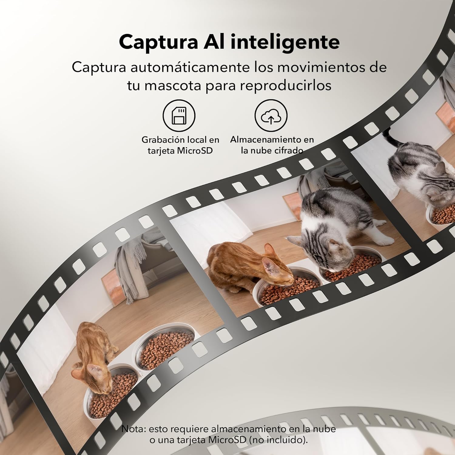 Comedero automático para gatos PETLIBRO con cámara 1080P y control por app - vista 7