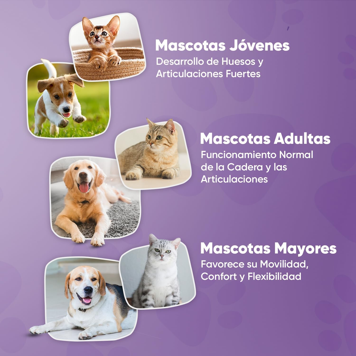 Condo protector para perros y gatos con glucosamina y cúrcuma - 120 cápsulas - característica 4